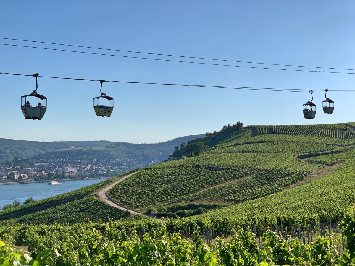 Fewo Zur Goldenen Traube Daire Rüdesheim am Rhein Dış mekan fotoğraf