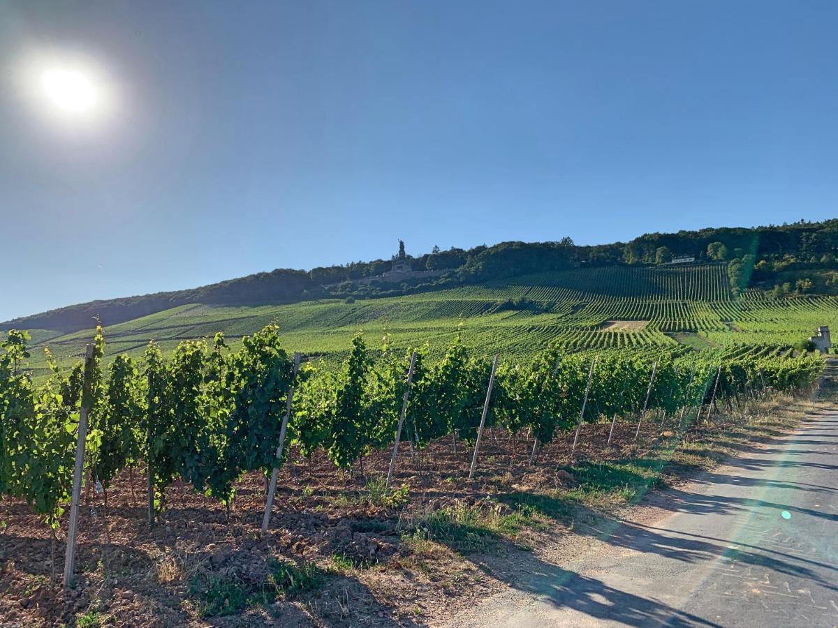 Fewo Zur Goldenen Traube Daire Rüdesheim am Rhein Dış mekan fotoğraf