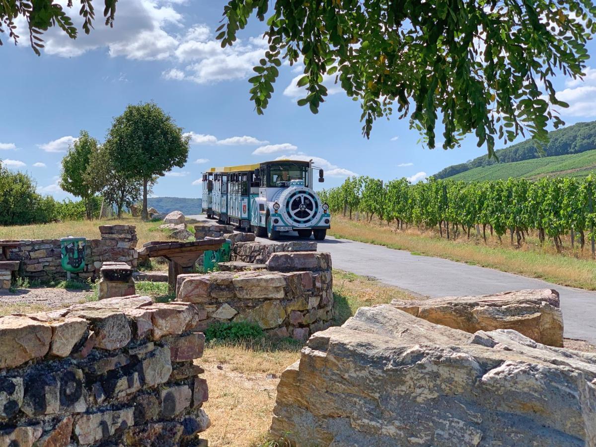 Fewo Zur Goldenen Traube Daire Rüdesheim am Rhein Dış mekan fotoğraf