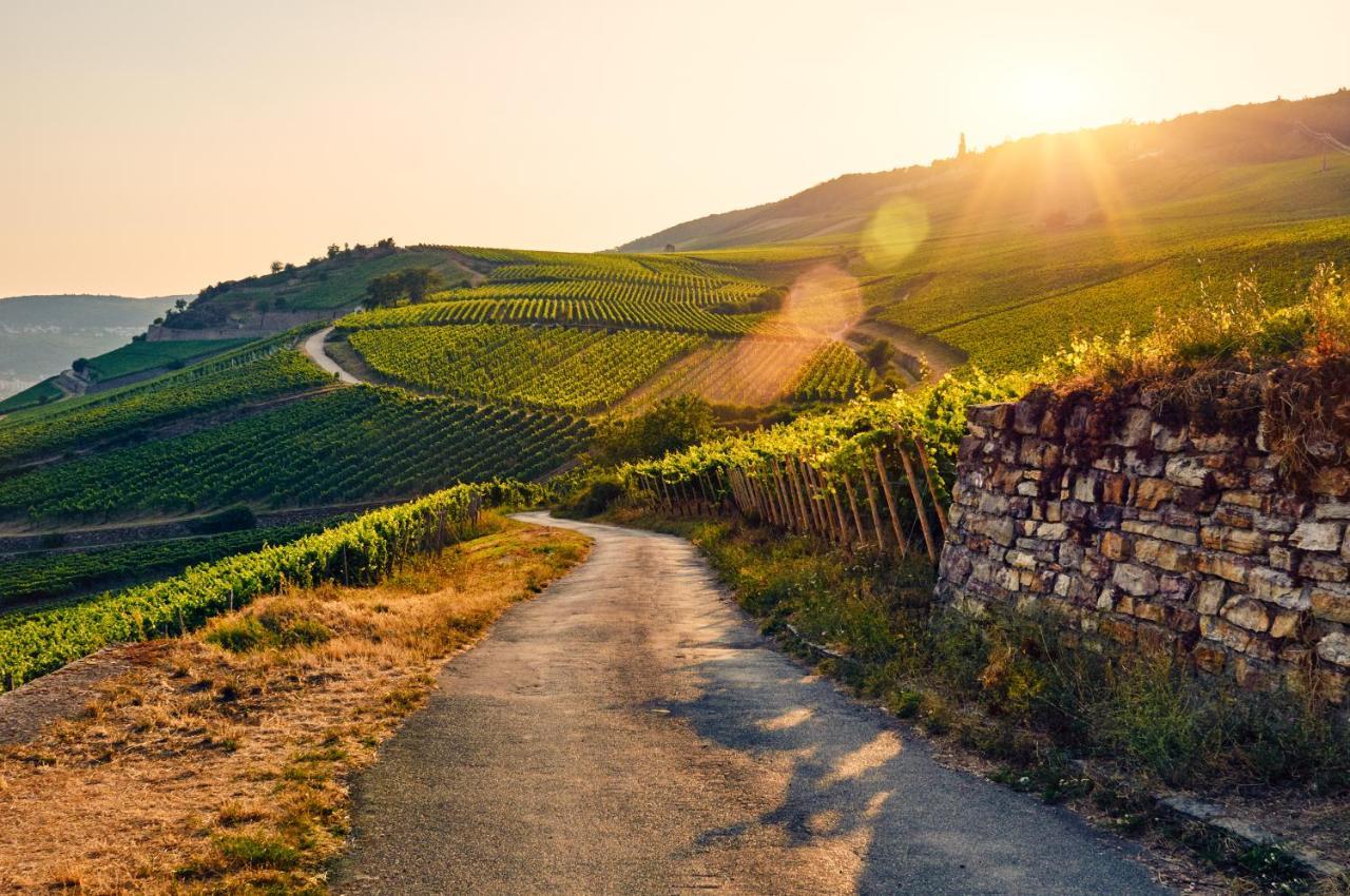 Fewo Zur Goldenen Traube Daire Rüdesheim am Rhein Dış mekan fotoğraf